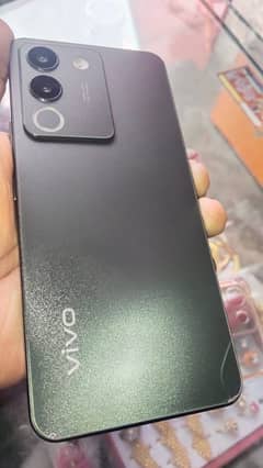 vivo