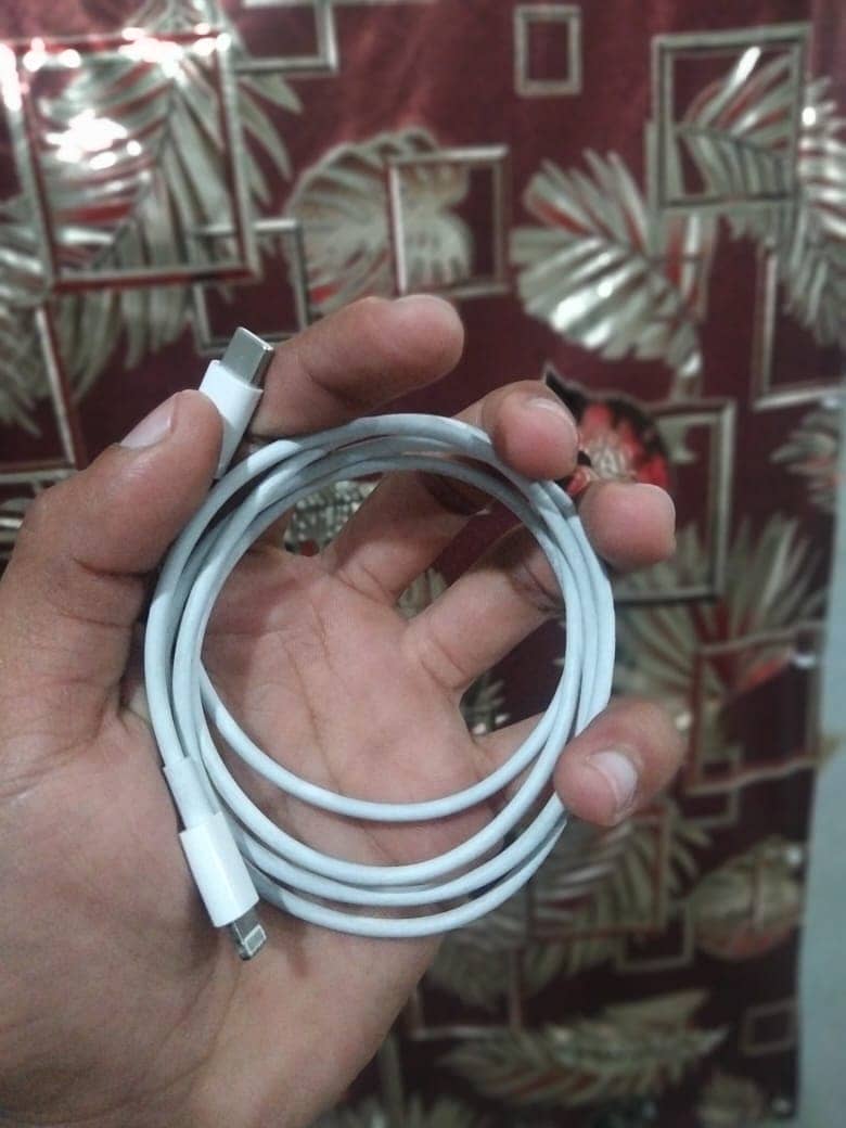 IPhone 11pro max genuine charger 1