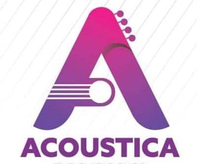 Quality guitar collection at Acoustica Guitar Shop 3