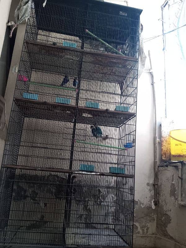 parrot cage 0