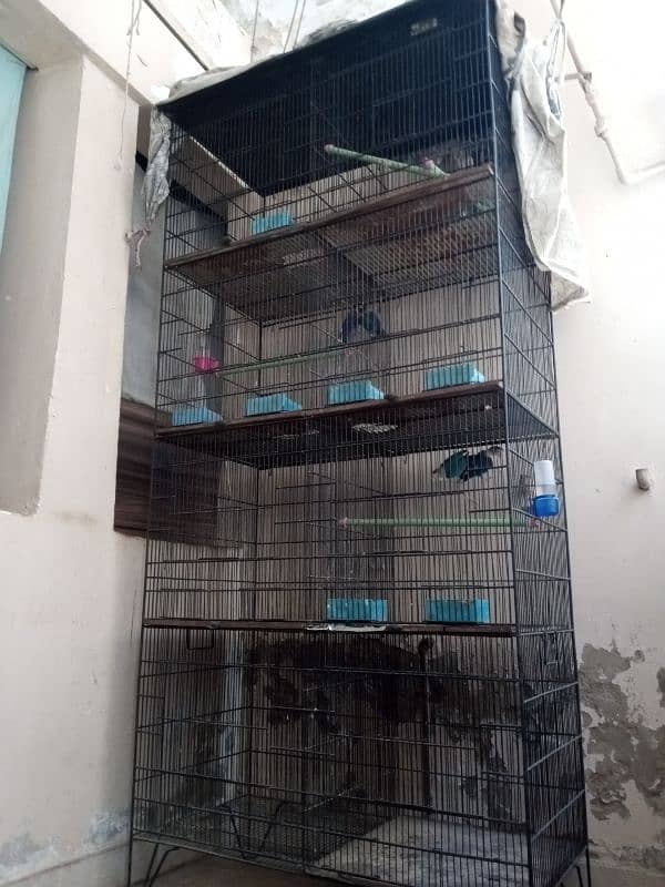 parrot cage 1