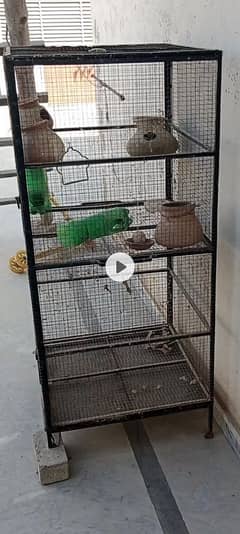 parrot iron  cage double 4 sale 0334-6363774