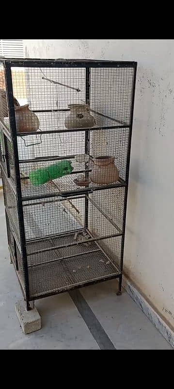 parrot iron  cage double 4 sale 0334-6363774 1