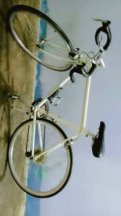 A. N. DESIGN Bicycle