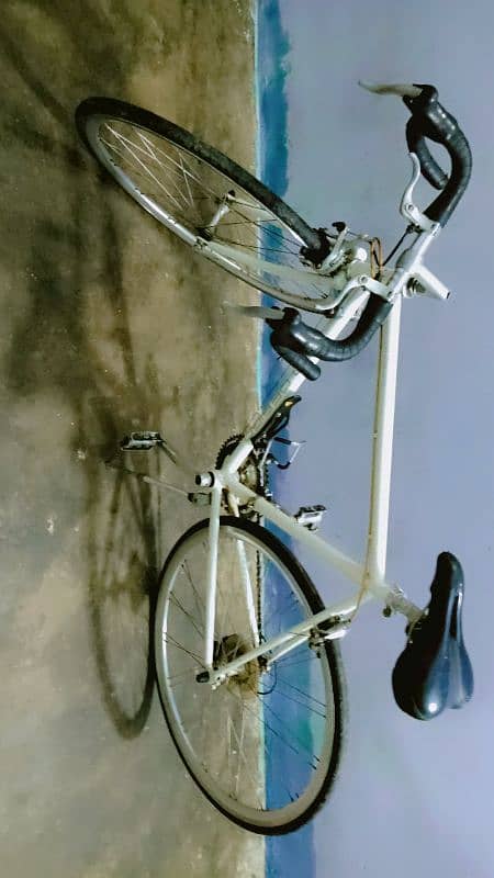 A. N. DESIGN Bicycle 4