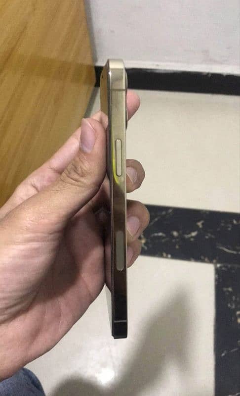 Iphone 12 Pro Golden 2