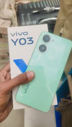 vivo