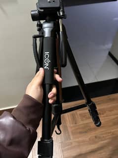 Icon Professional Tripod + Monopod