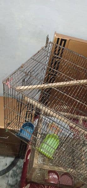 cage for sale cage size 3 by 1.5 fut 6