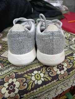 Allbirds