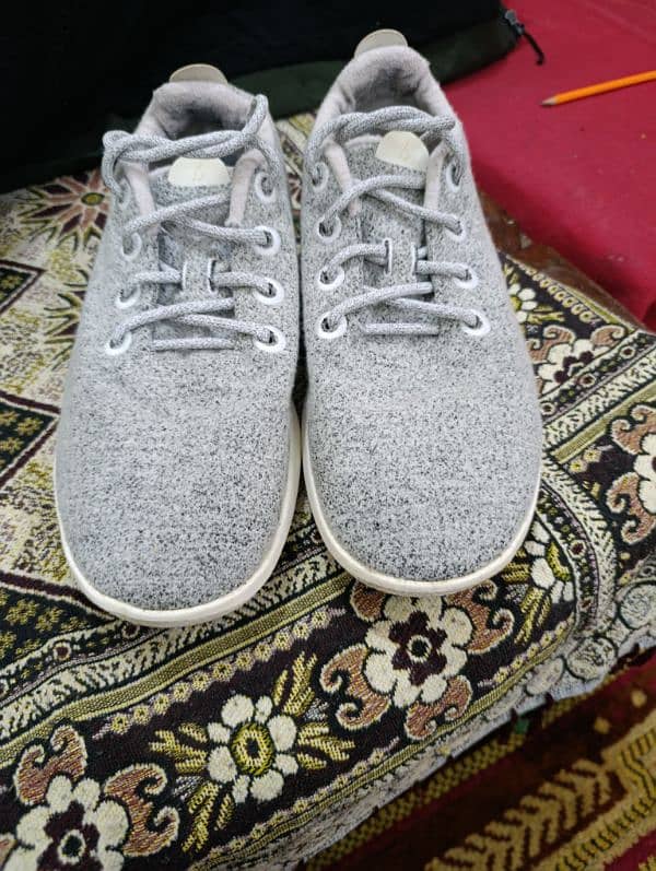 Allbirds 1