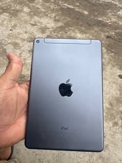 ipad mini 5