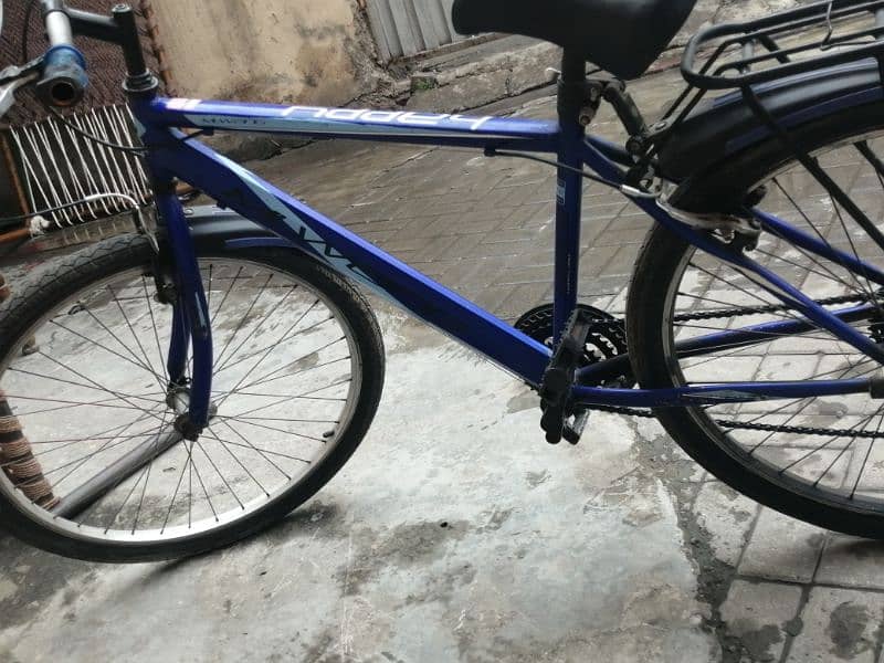 mountain bicycle MLWANG 4