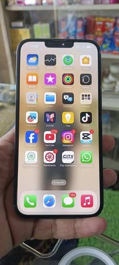 iphone 13 pro max 256 gb 88 health 10/10