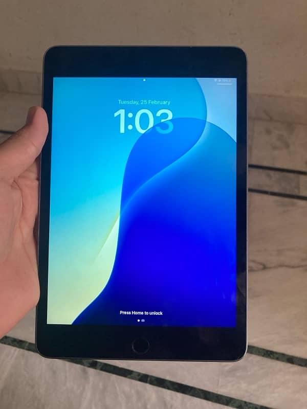 ipad mini 5 0