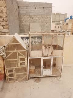 pinjre for sale contact number 03041777809