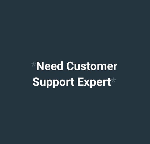 Need Customer Support Expert With Good Experience 0