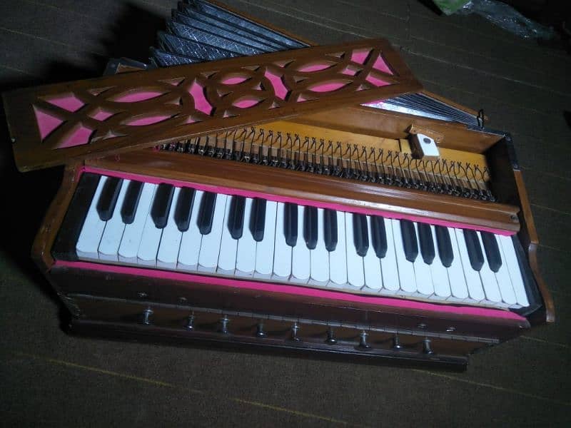 Palitana Harmonium 0