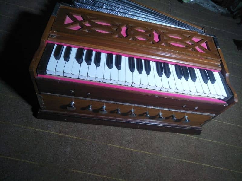 Palitana Harmonium 2