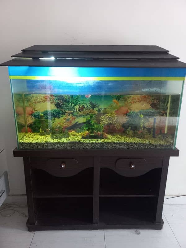 Fish Aquarium 0