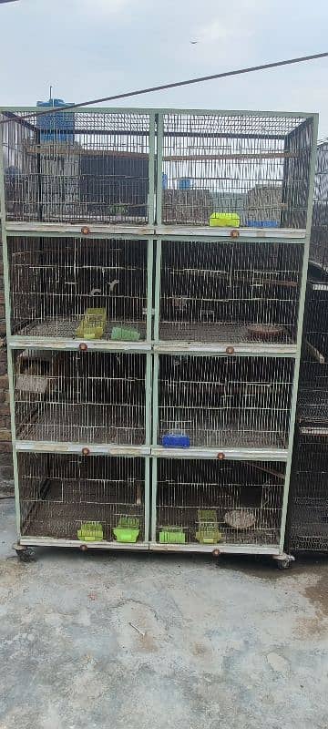 cage for sale 0