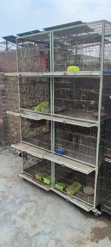 cage for sale 1