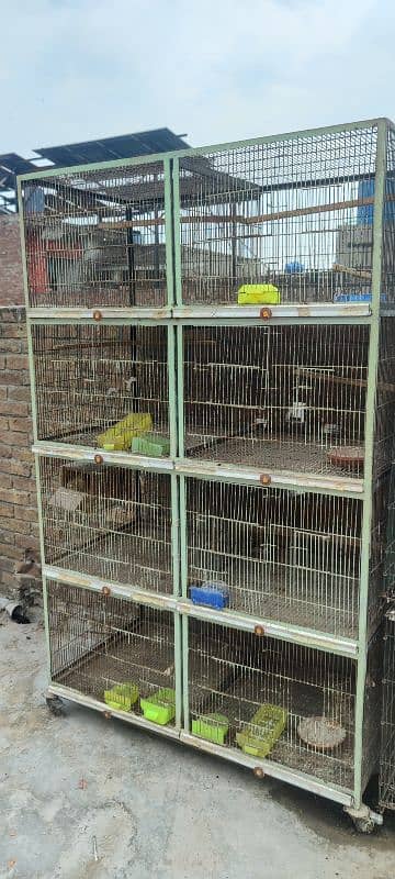 cage for sale 2