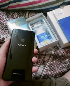 vivo