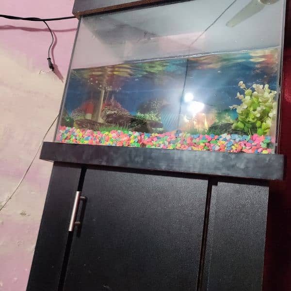 fish aquarium 5