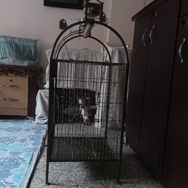 Parrot cage 7