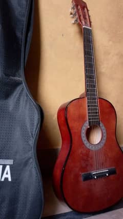 guitar