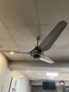 Ceiling fan