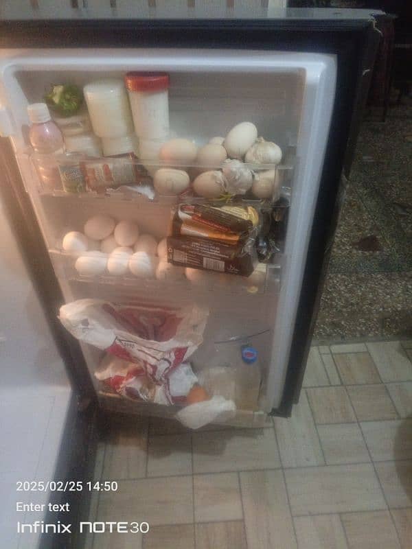 PEL refrigerator 4