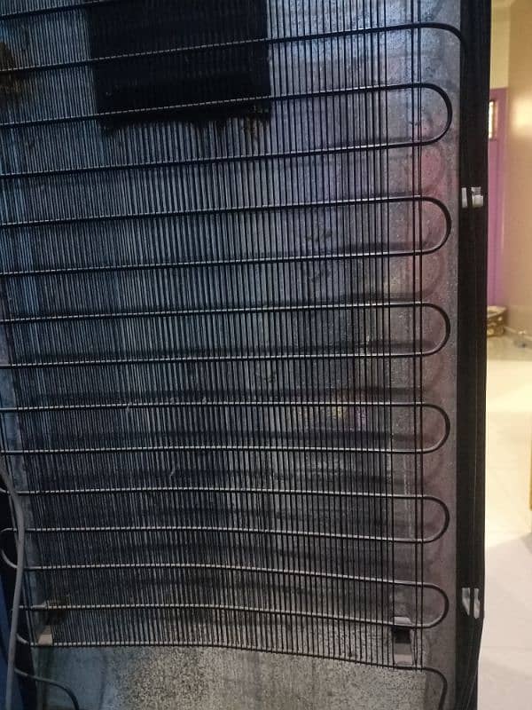 Pel Refrigerater Glass Door For Sale 3