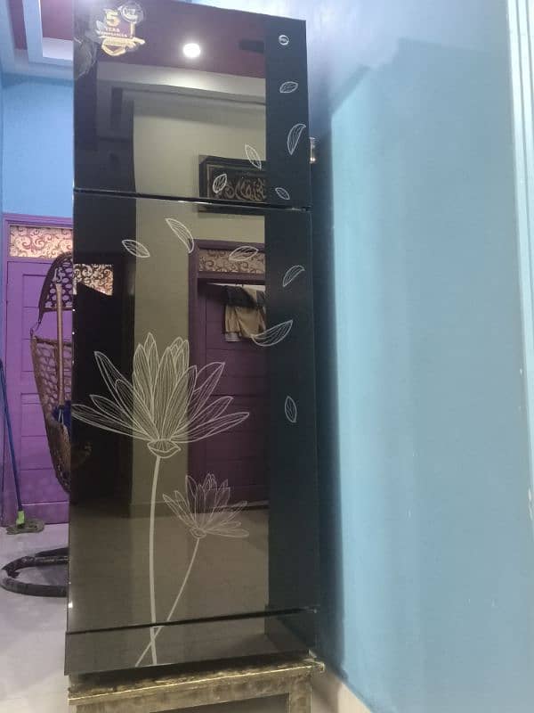 Pel Refrigerater Glass Door For Sale 4