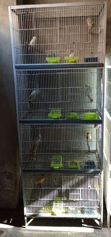 cage for birds or hens 0