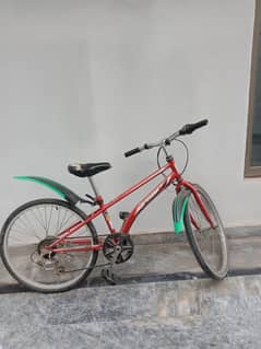 Japenese cycle with gears