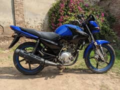 Yamaha YBR 125 2019