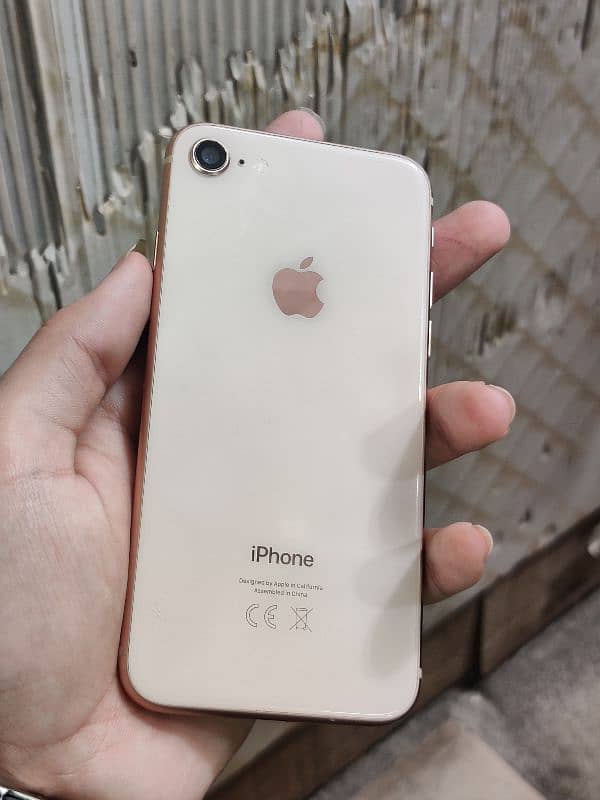 iphone 8 Pta Approved 5