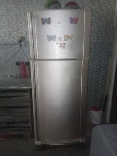 dollars fridge