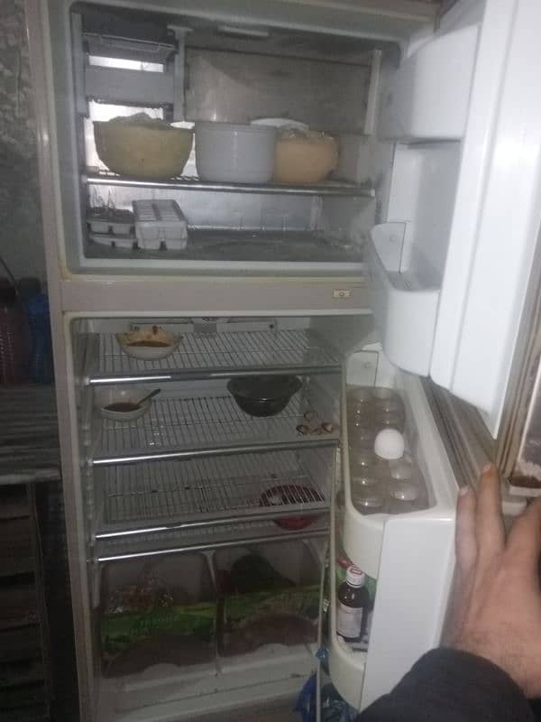 dollars fridge 1