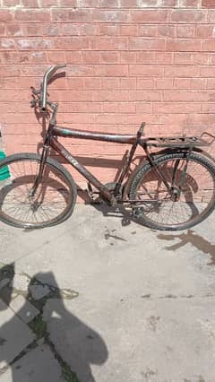 ceycle for sale