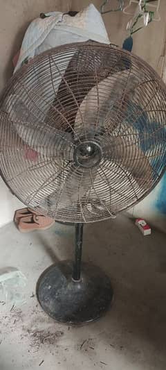 Fan