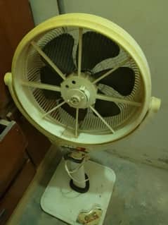 fan