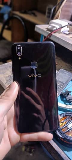 vivo