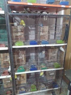 Ramadan offer breeding box available