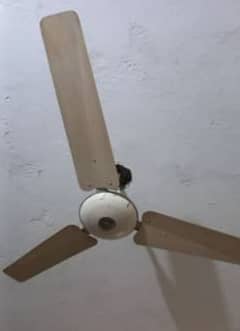 Used celling fans for sale