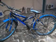 Cycle for sale