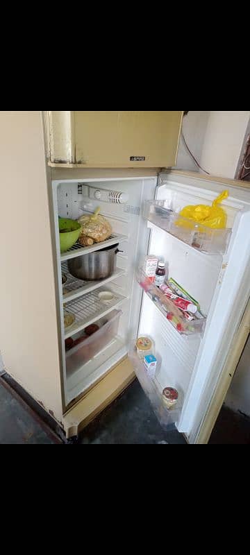 pel aspire fridge 6