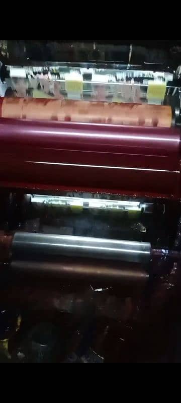 flaxo printing machine 4